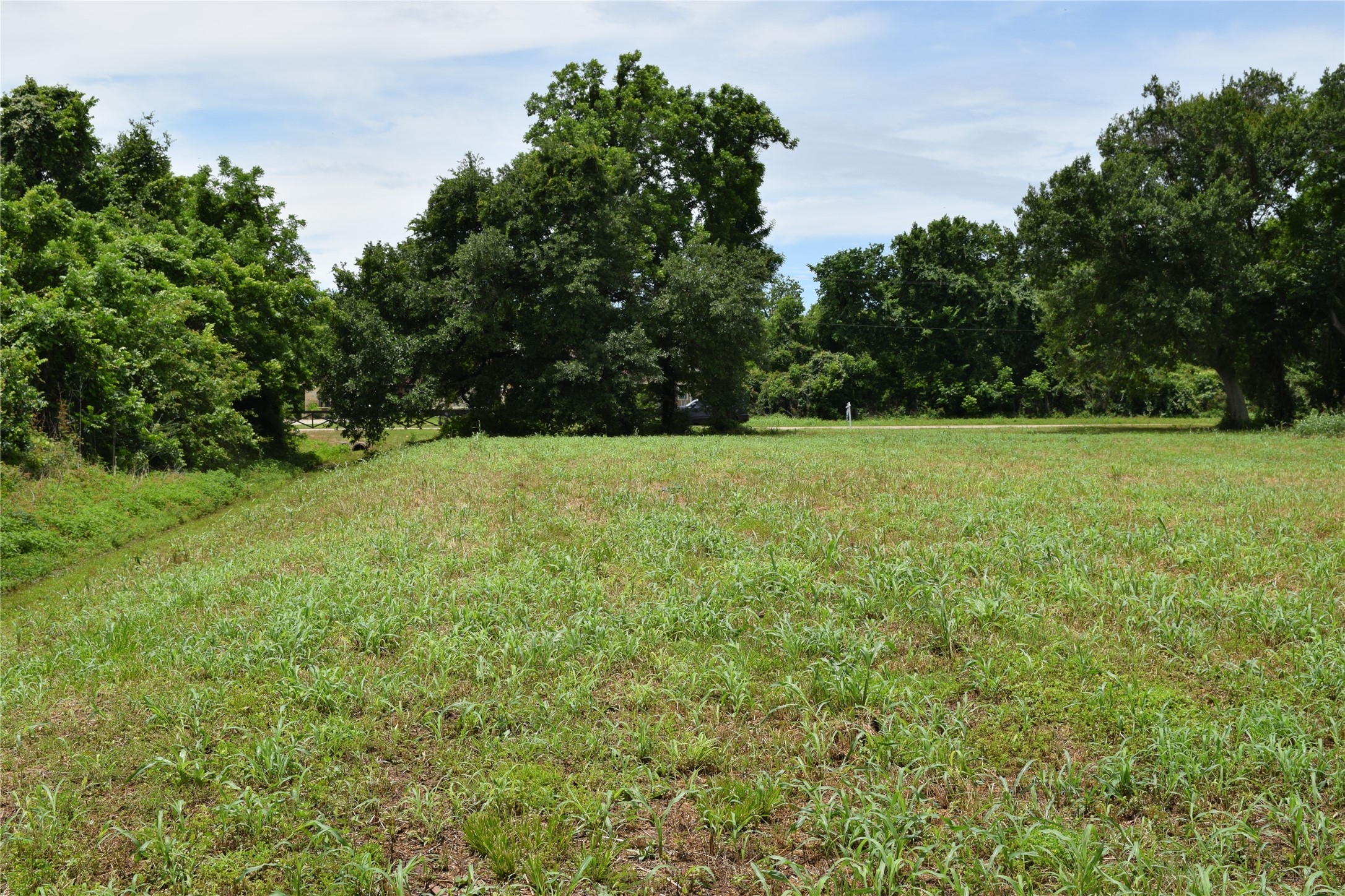 22819 Pittman Drive Angleton, TX 77515 - Photo 10 of 15 From the back of the lot, looking along the South property line toward the street.