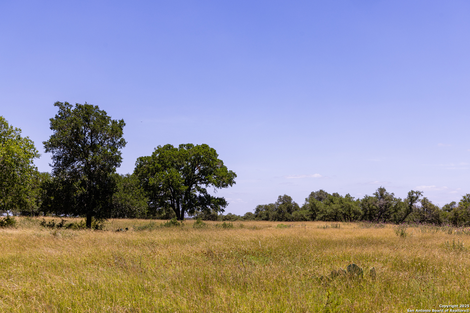 190 Jones Kerrville, TX 78028 - Photo 5 of 8