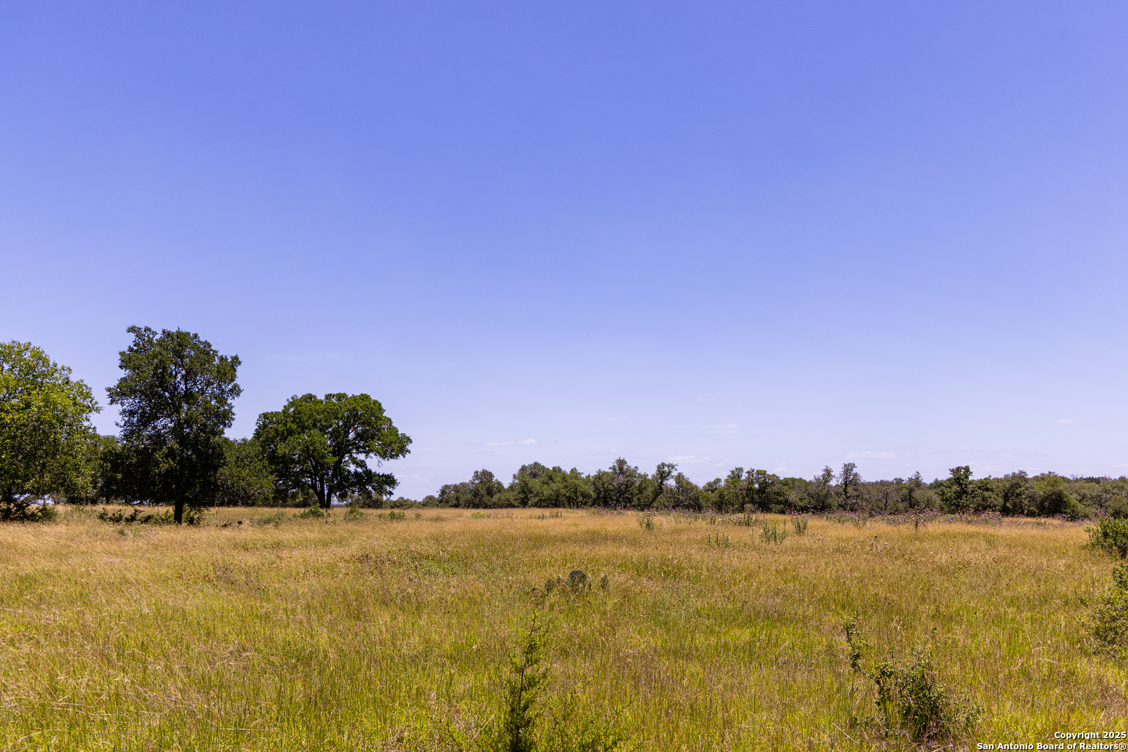 190 Jones Kerrville, TX 78028 - Photo 6 of 8