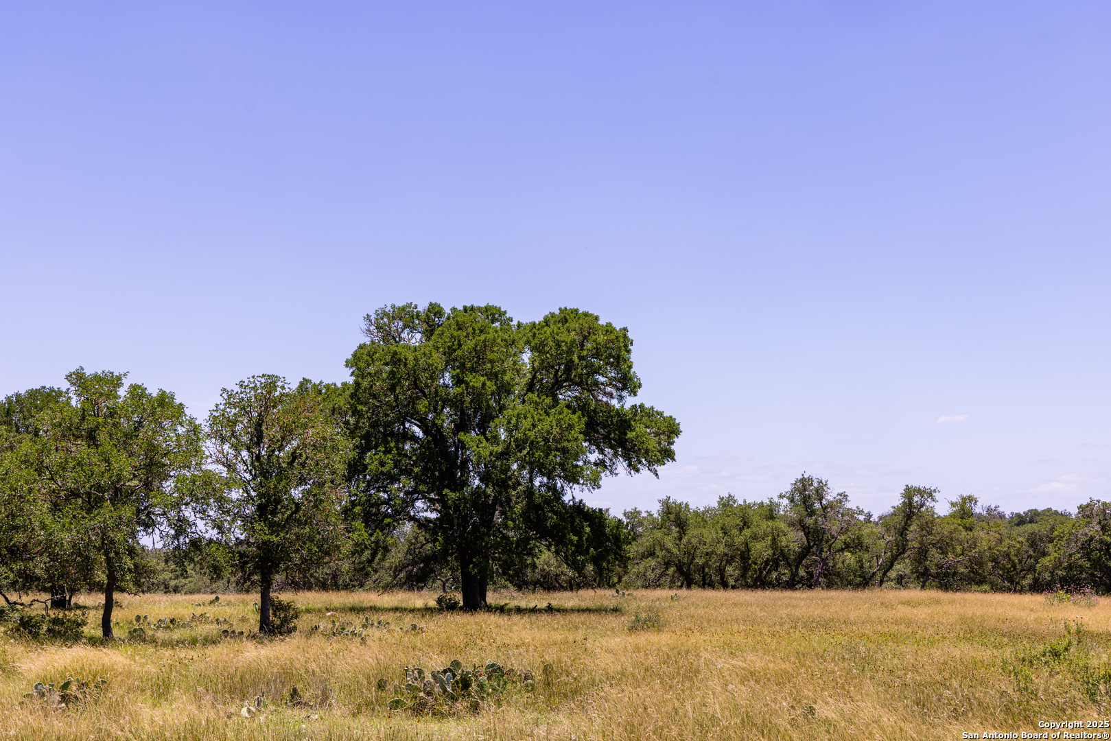 190 Jones Kerrville, TX 78028 - Photo 8 of 8
