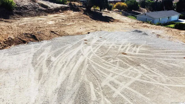 a close up of a plant in a garden
