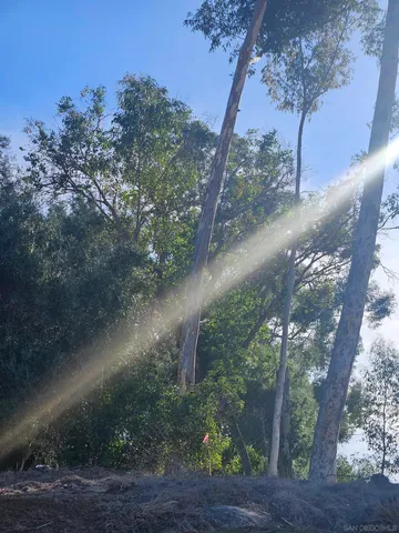 a view of swimming pool
