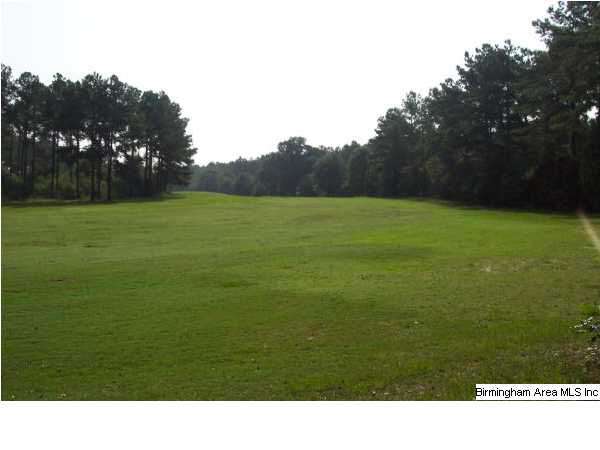 9228 Pritchett Road Gardendale, AL 35071 - Photo 1 of 1 Gallery Image 1
