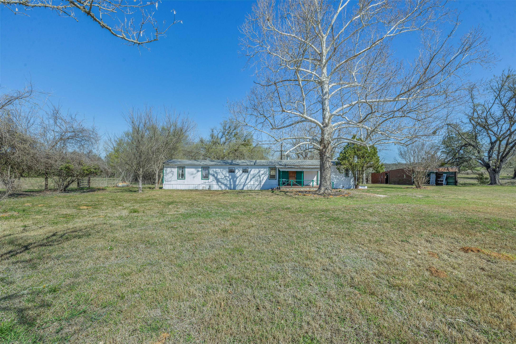 1919 County Road 344 Loop Milano, TX 76556 - Photo 15 of 21 a green field with lots of tress in it