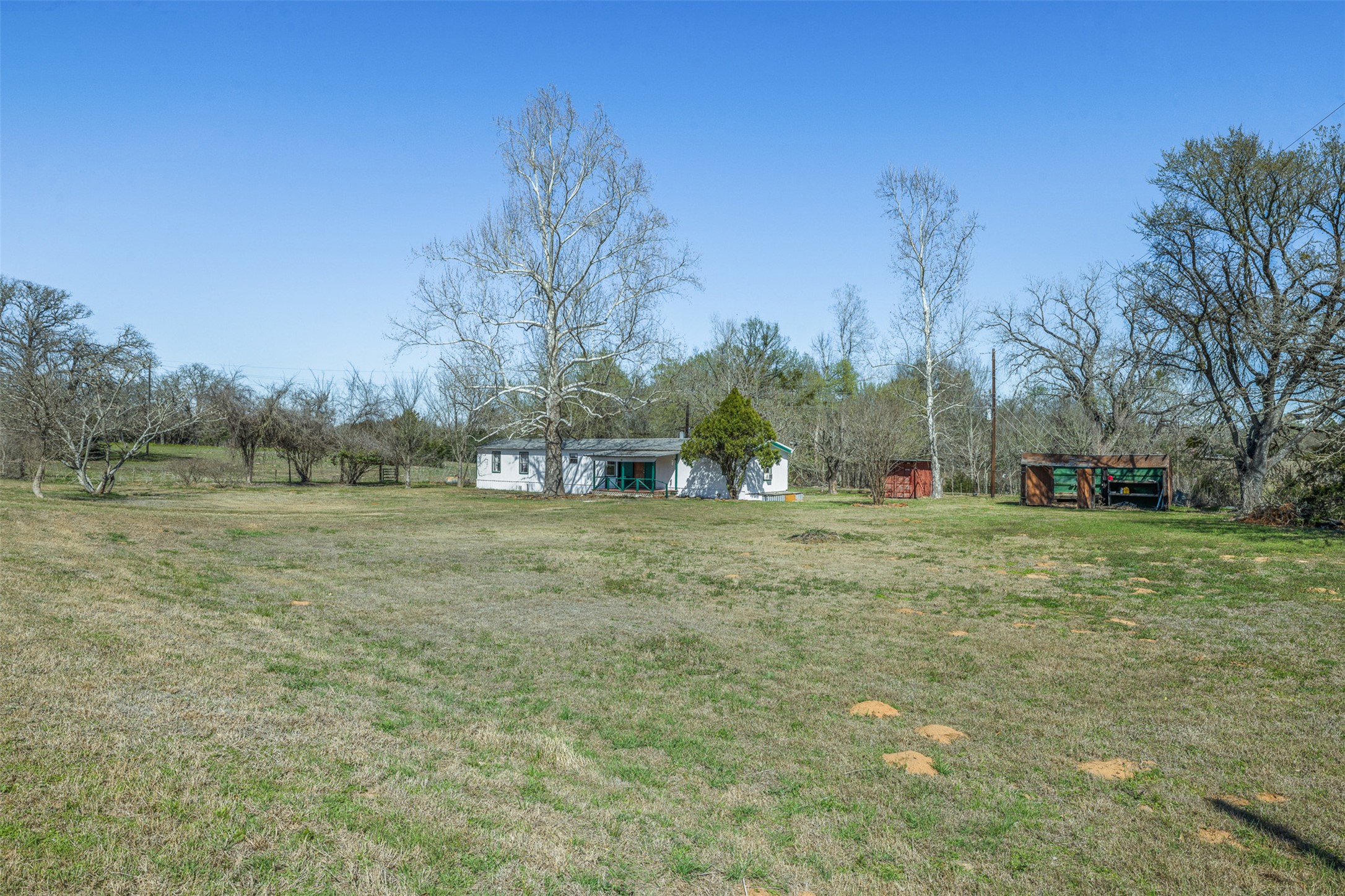 1919 County Road 344 Loop Milano, TX 76556 - Photo 19 of 21 a view of outdoor space with green field and trees