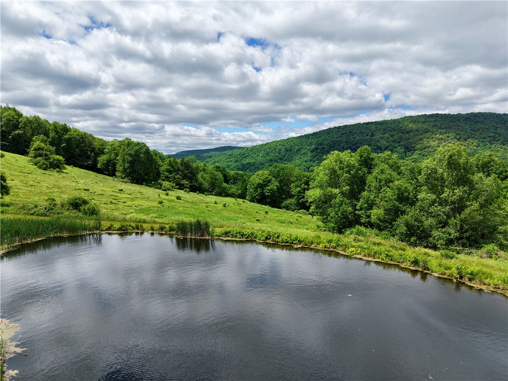 240 Dowie Road Andes, NY 13731 - Photo 41 of 49