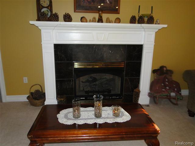 6830 Fish Lake Road North Branch, MI 48461 - Photo 4 of 46 Fireplace.jpg