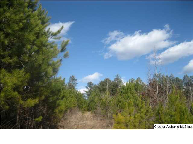 Turkey Ridge, Unit 36 Ragland, AL 35131 - Photo 10 of 13