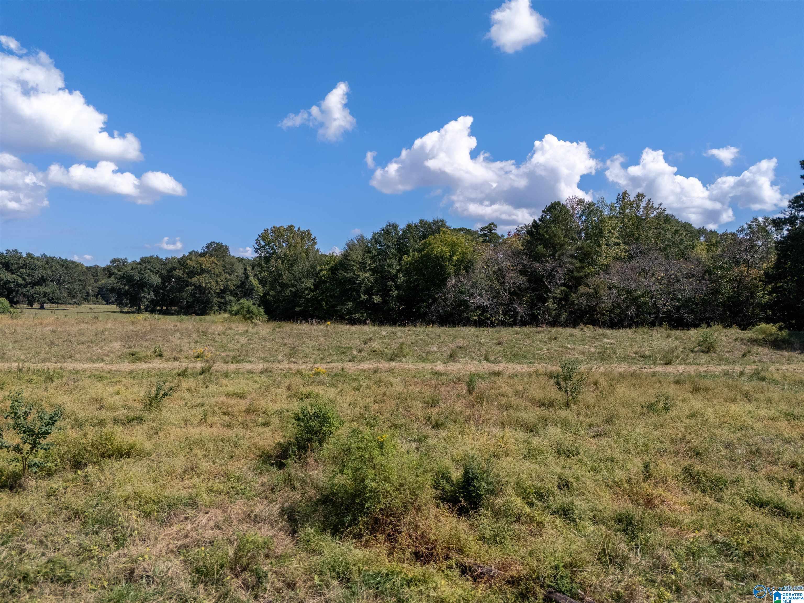 7.4 Riverside Drive, Unit 8 Gadsden, AL 35901 - Photo 23 of 23