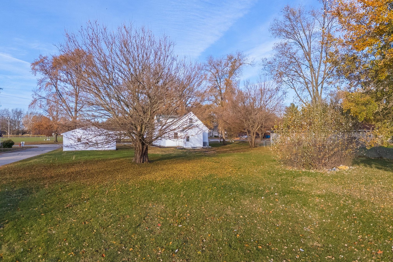 401 6th Street Cornell, IL 61319 - Photo 30 of 33 a yard with a tree