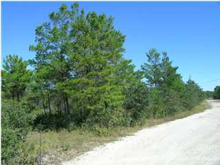 321 Woodill Road Carrabelle, FL 32322 - Photo 1 of 1 Gallery Image 1