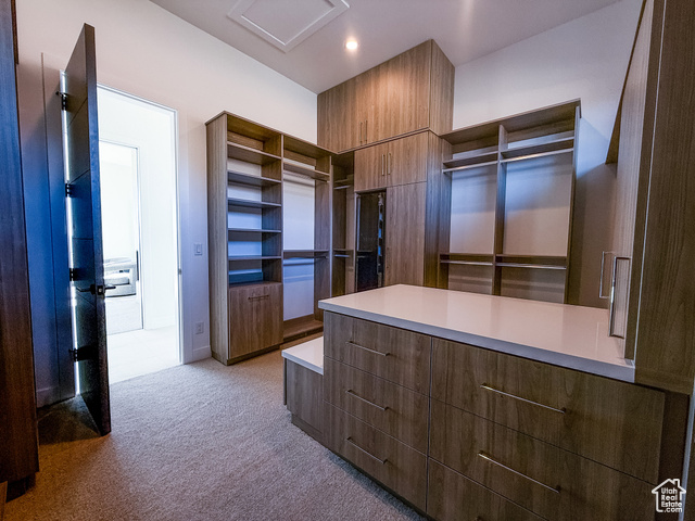 2132 East Outlaw Road, Unit 49 Kamas, UT 84036 - Photo 20 of 44 Walk in closet featuring light carpet