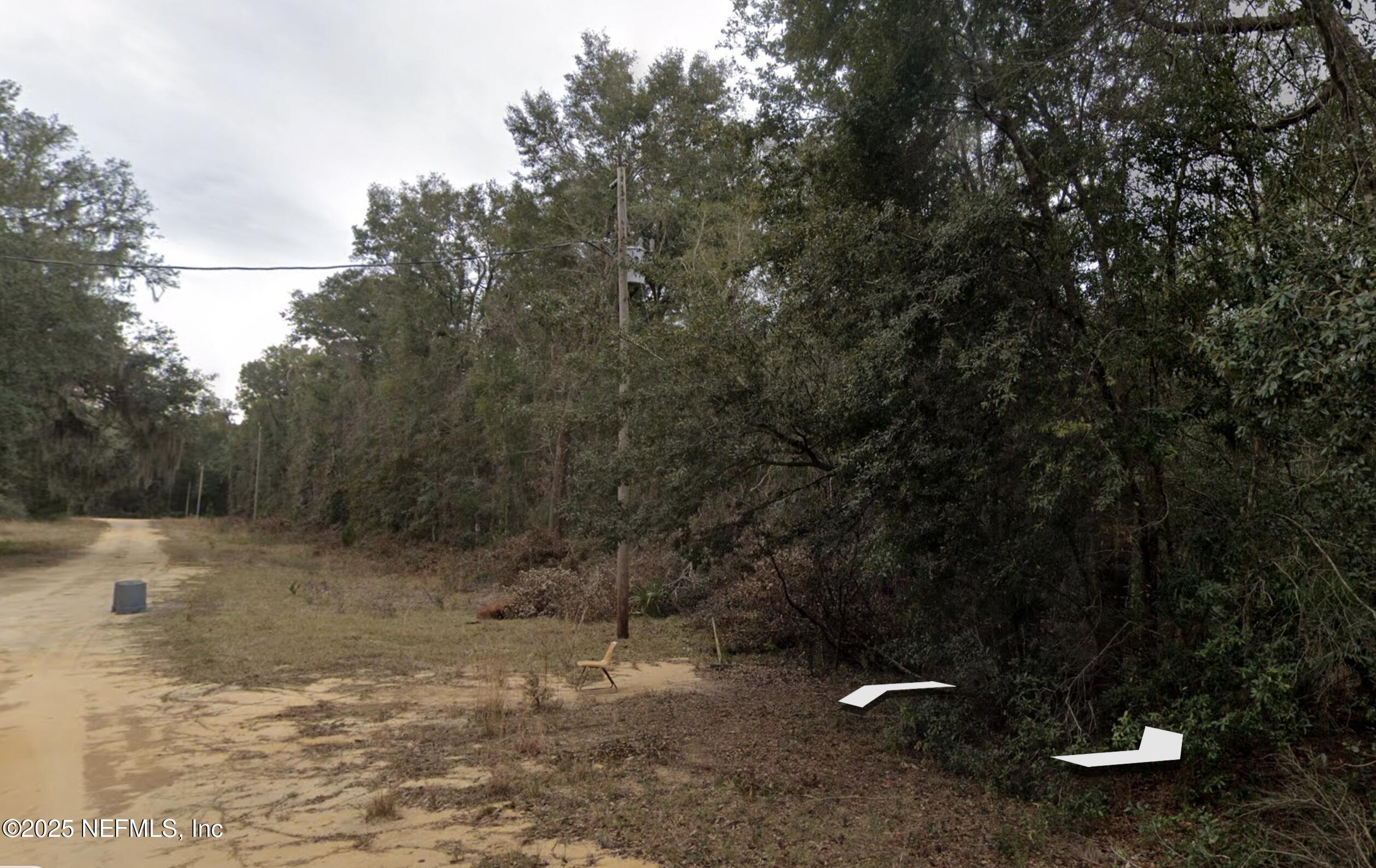 0 Henry Avenue Interlachen, FL 32148 - Photo 1 of 4 a backyard of a house