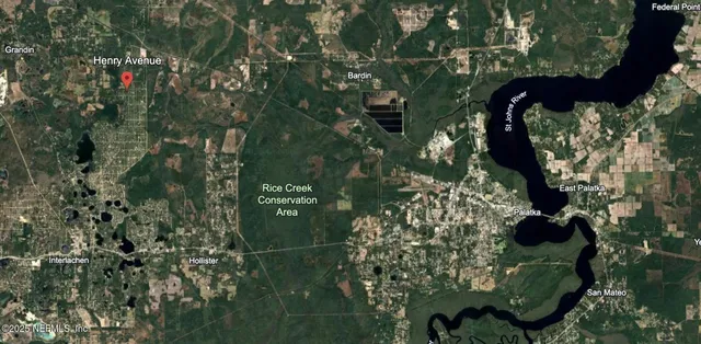 a close up of a plant in a garden