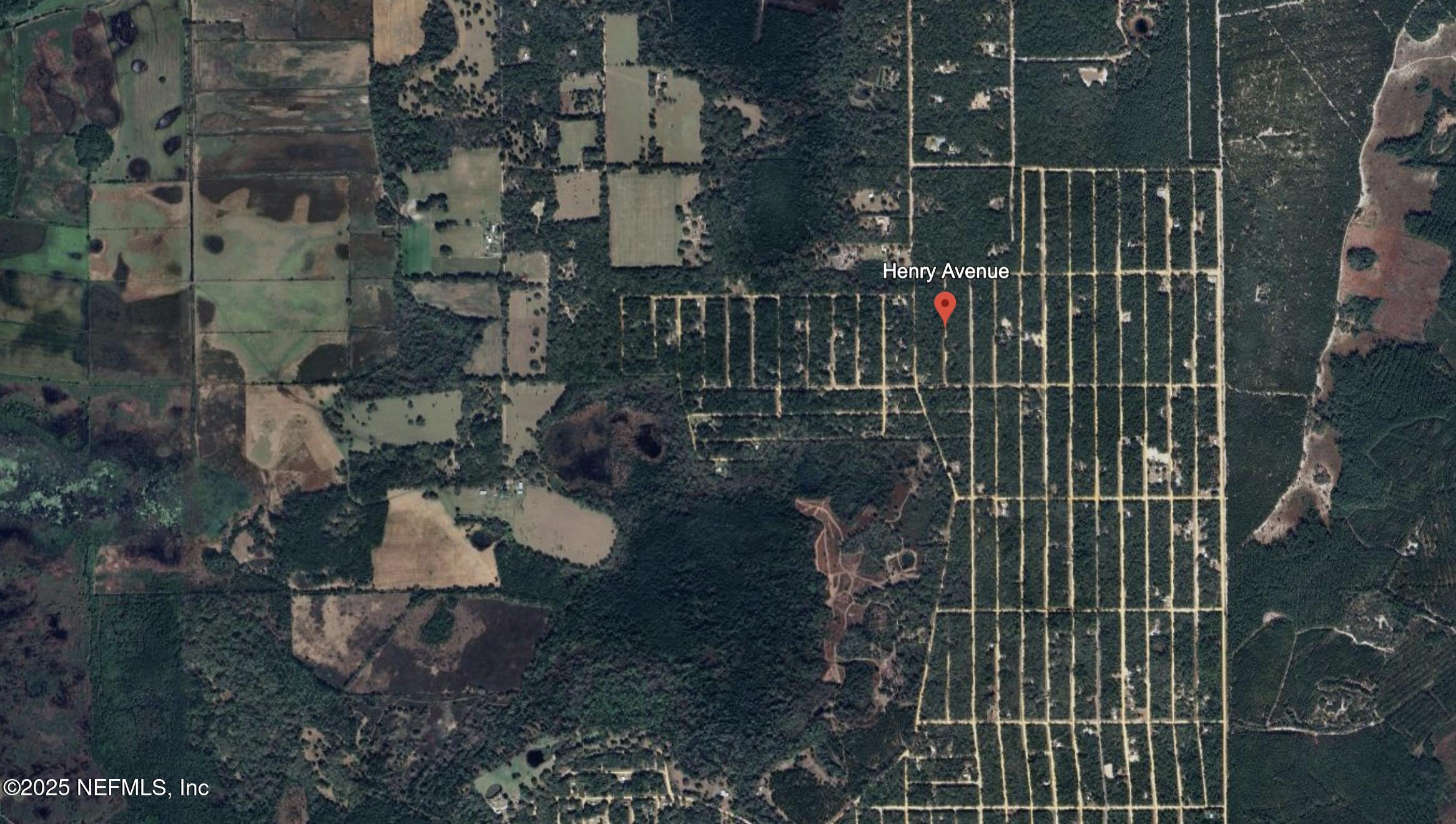 0 Henry Avenue Interlachen, FL 32148 - Photo 3 of 4