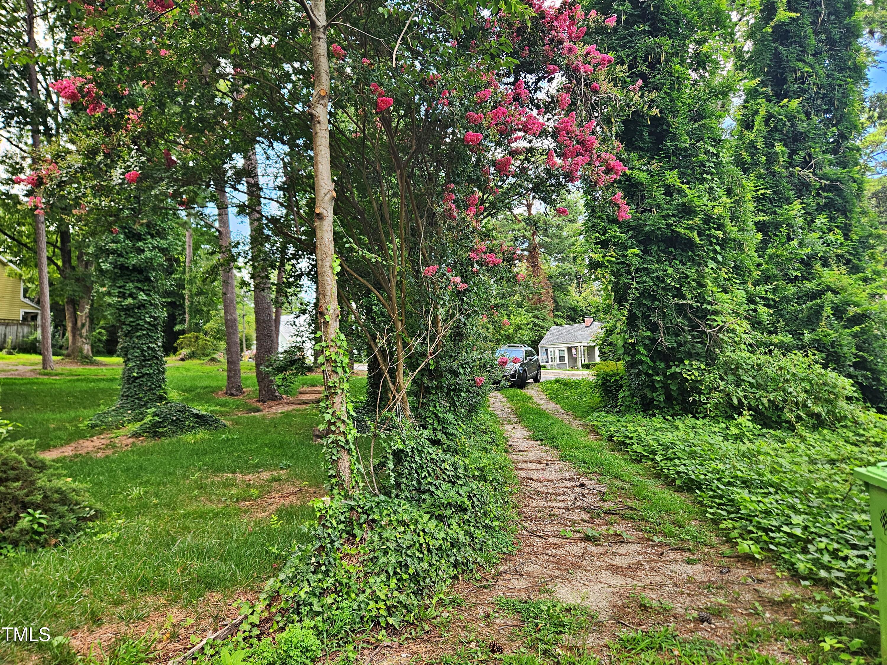4811 Altha Street Raleigh, NC 27606 - Photo 6 of 30 20240802_153840
