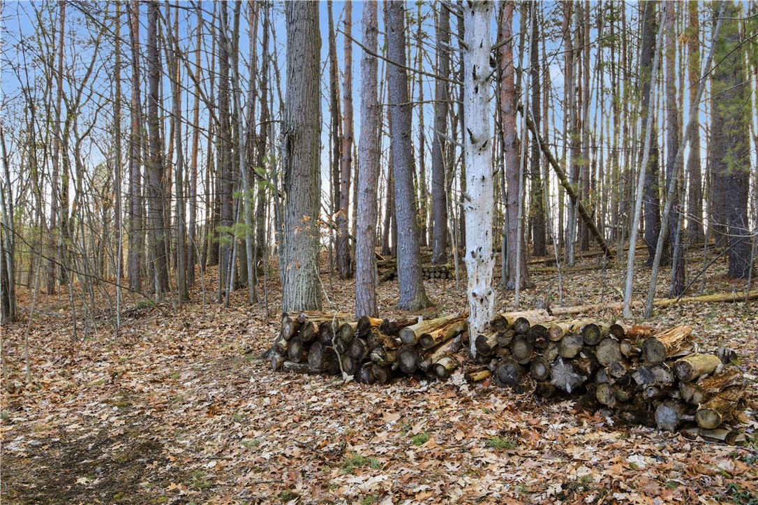 15079 West Lake Road Pulteney, NY 14418 - Photo 8 of 46