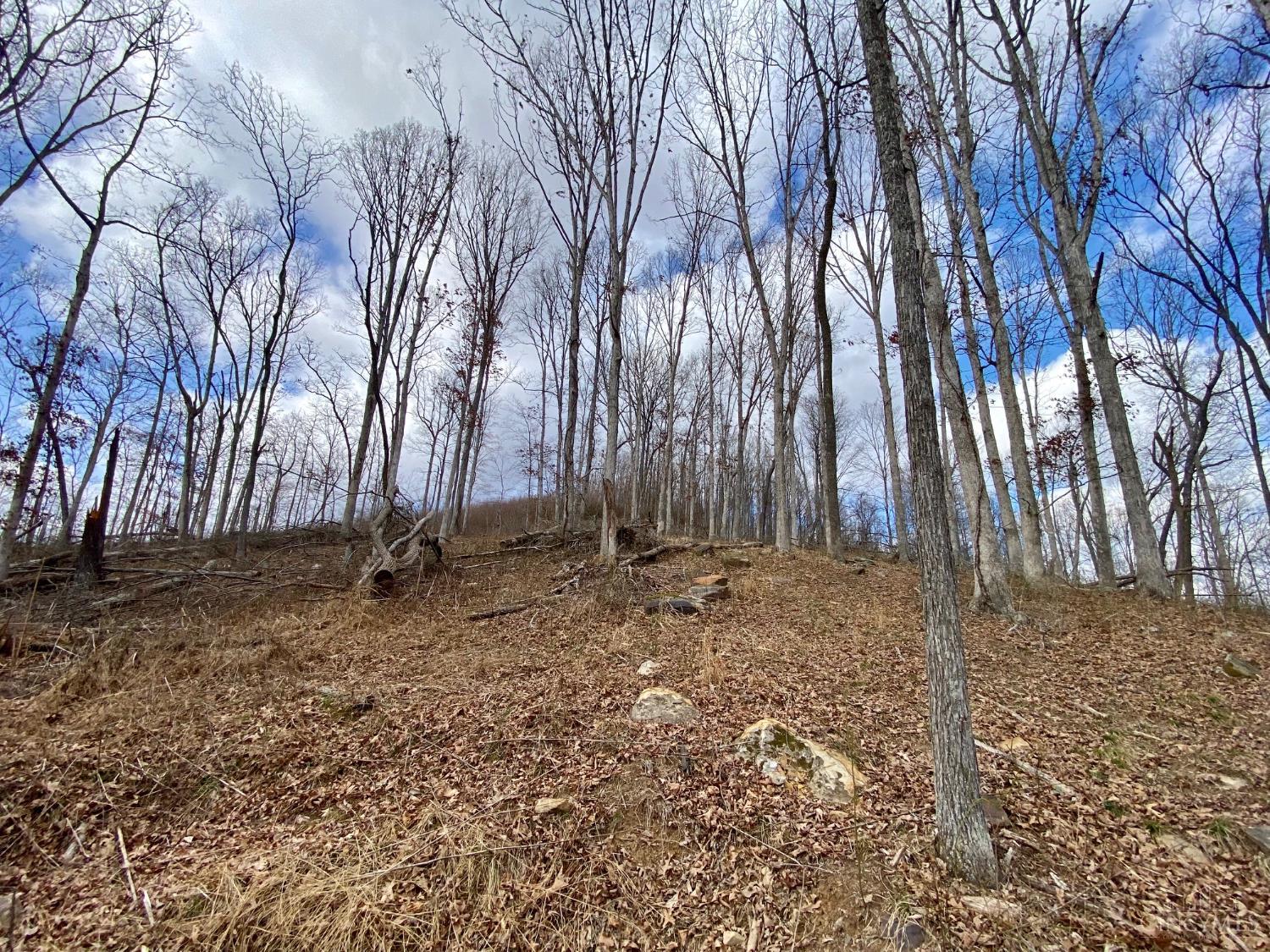 Ac Beech Fork Road Peebles, OH 45660 - Photo 17 of 49