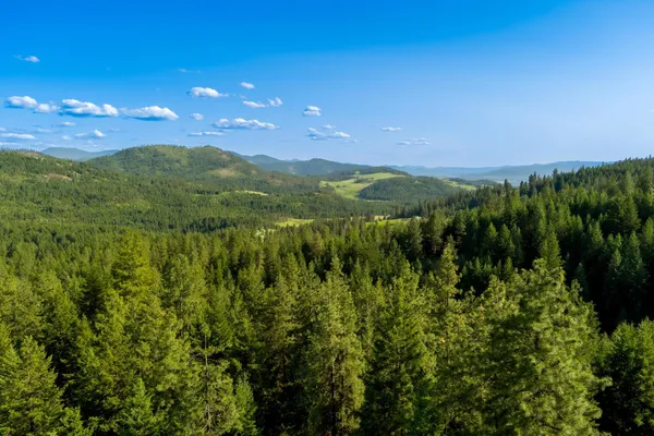 $425,000 | 2264 B Scott Road, Rice, WA 99167