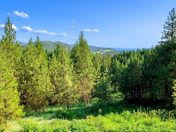 $425,000 | 2264 B Scott Road, Rice, WA 99167