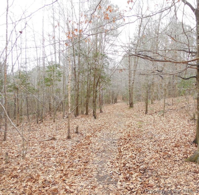 0 Ruthville Road Charles City, VA 23030 - Photo 5 of 7 Gallery Image 5