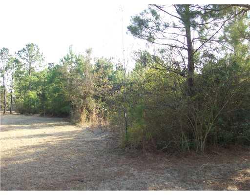 0 Fitzgerald Road Covington, LA 70435 - Photo 8 of 9
