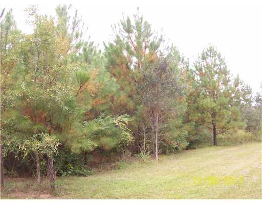 0 Fitzgerald Road Covington, LA 70435 - Photo 9 of 9