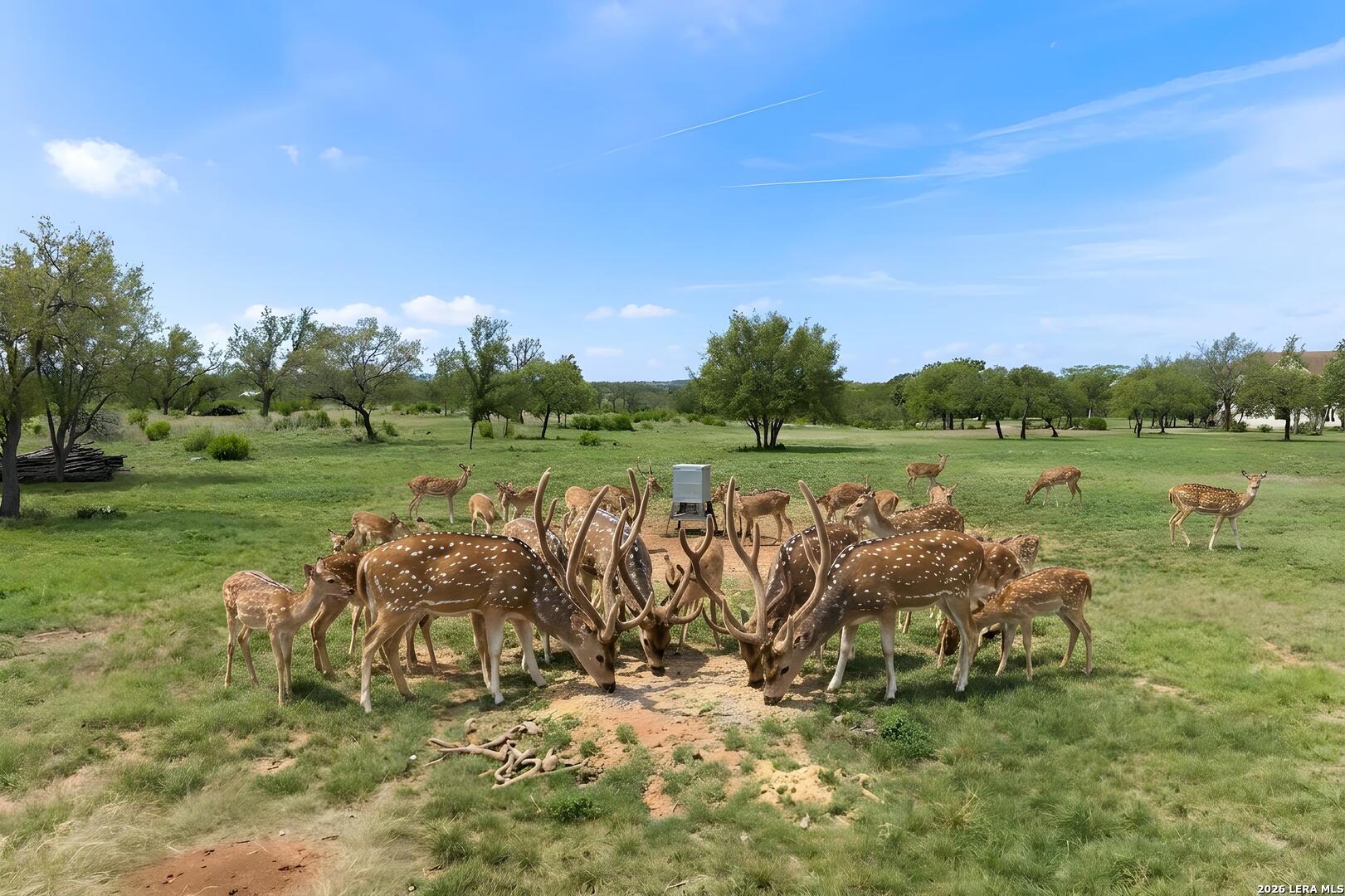 608 North Creek Road Comfort, TX 78013 - Photo 6 of 90