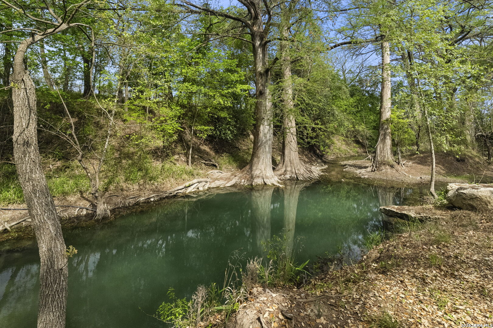 608 North Creek Road Comfort, TX 78013 - Photo 7 of 90