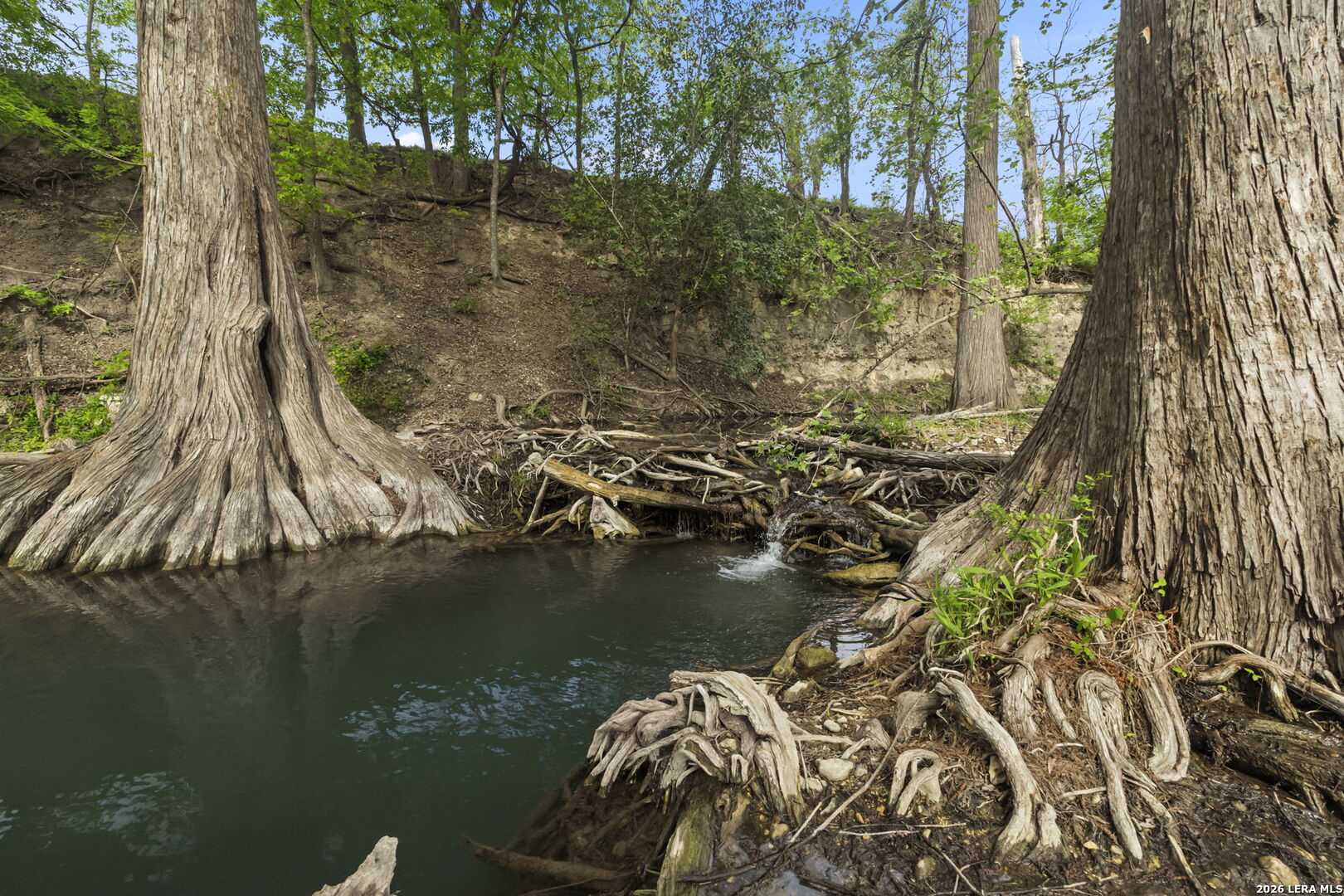 608 North Creek Road Comfort, TX 78013 - Photo 73 of 90