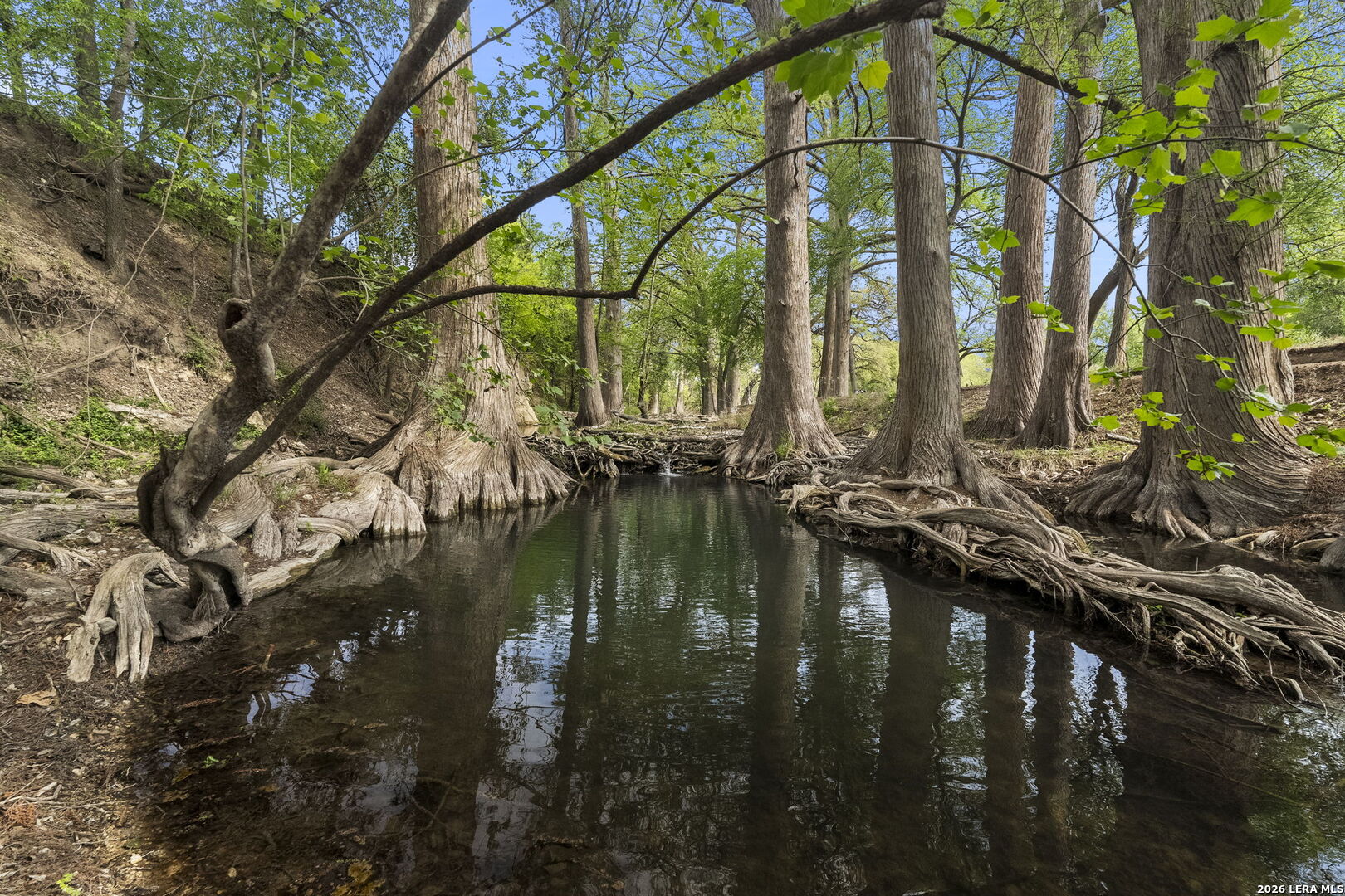 608 North Creek Road Comfort, TX 78013 - Photo 76 of 90
