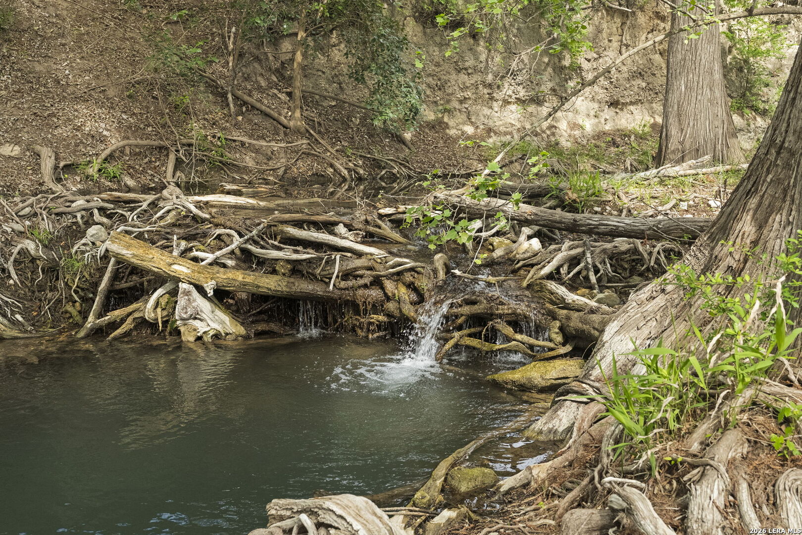 608 North Creek Road Comfort, TX 78013 - Photo 10 of 90