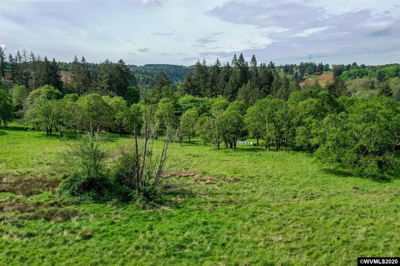 5913 Davis Creek Road Northeast Silverton, OR 97381 - Photo 9 of 9