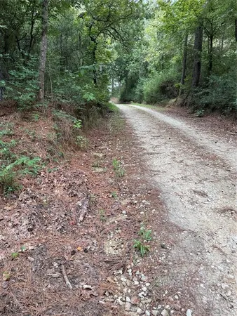 a view of a yard with trees in the background
