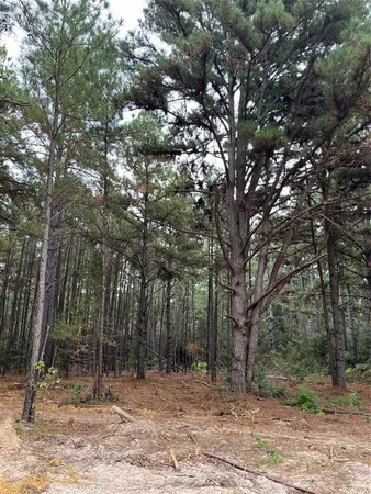 a backyard of a house with lots of trees