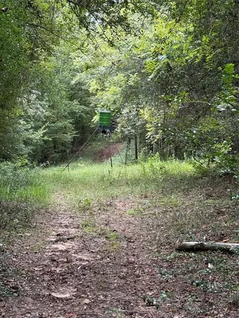 a big yard with lots of green space and deers