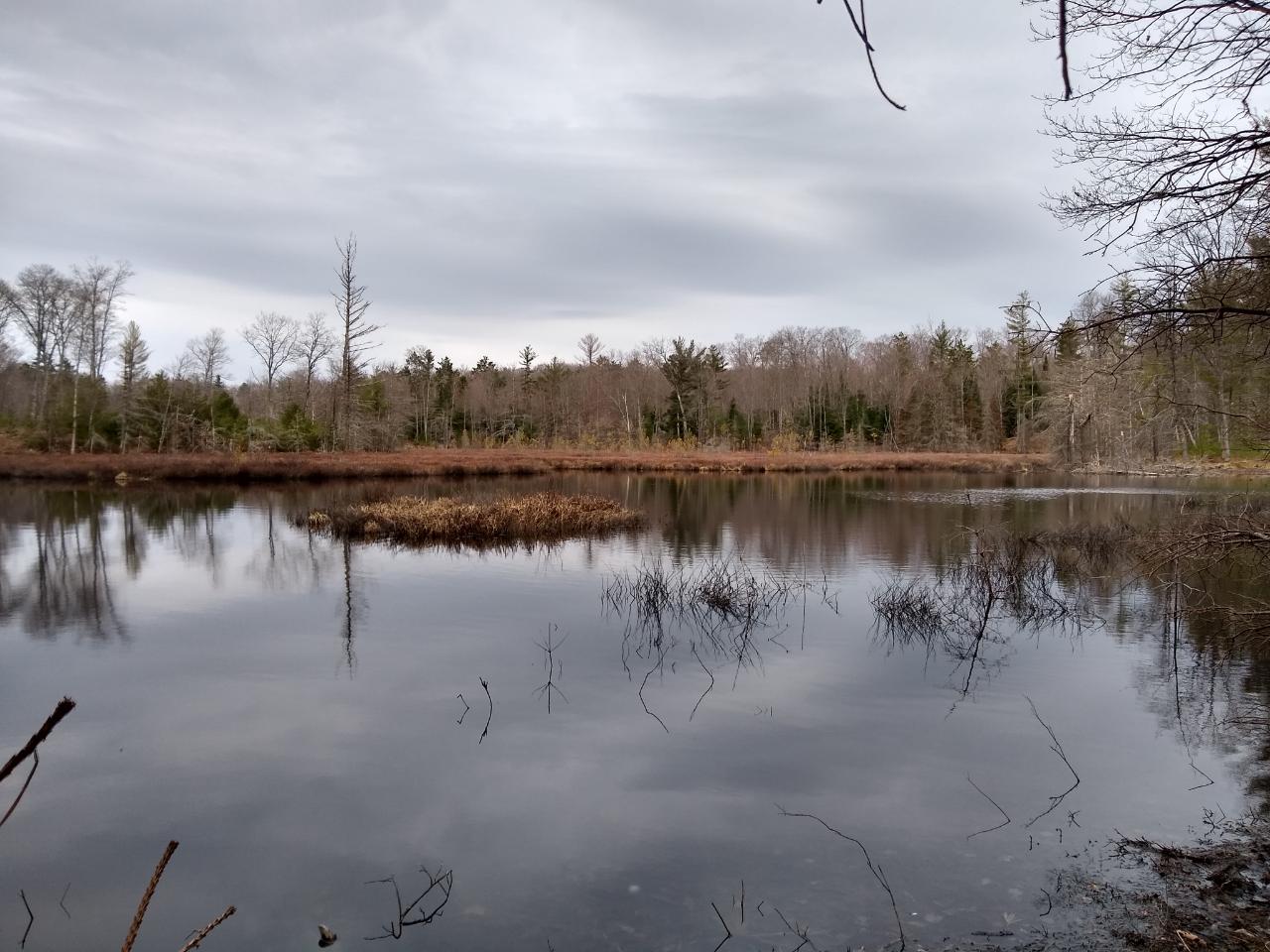 Off Of Lakeland Drive Rhinelander, WI 54501 - Photo 14 of 17 Gallery Image 14