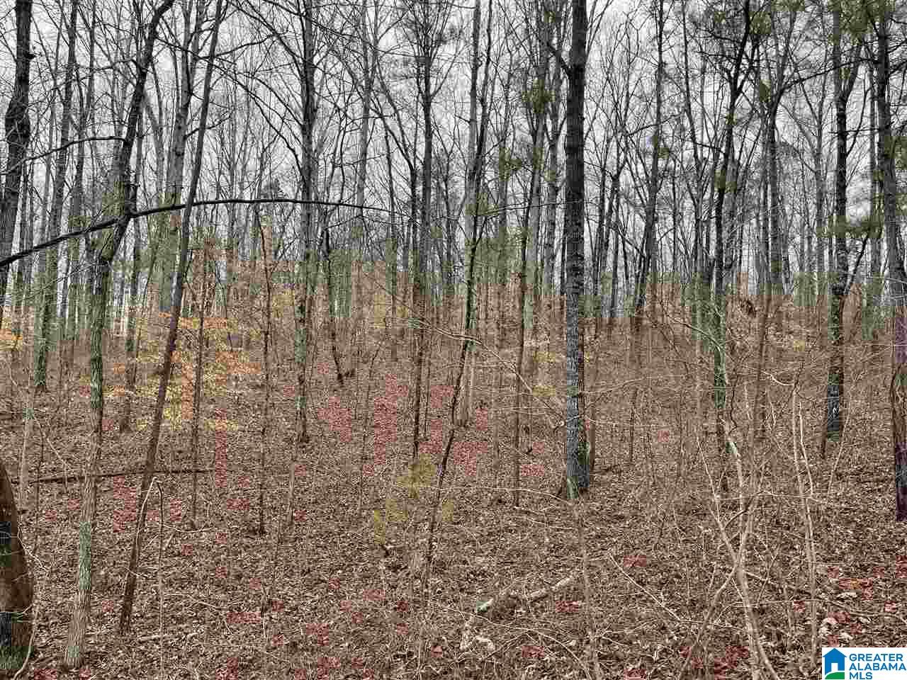 59 County Road, Unit 30 Heflin, AL 36264 - Photo 19 of 24