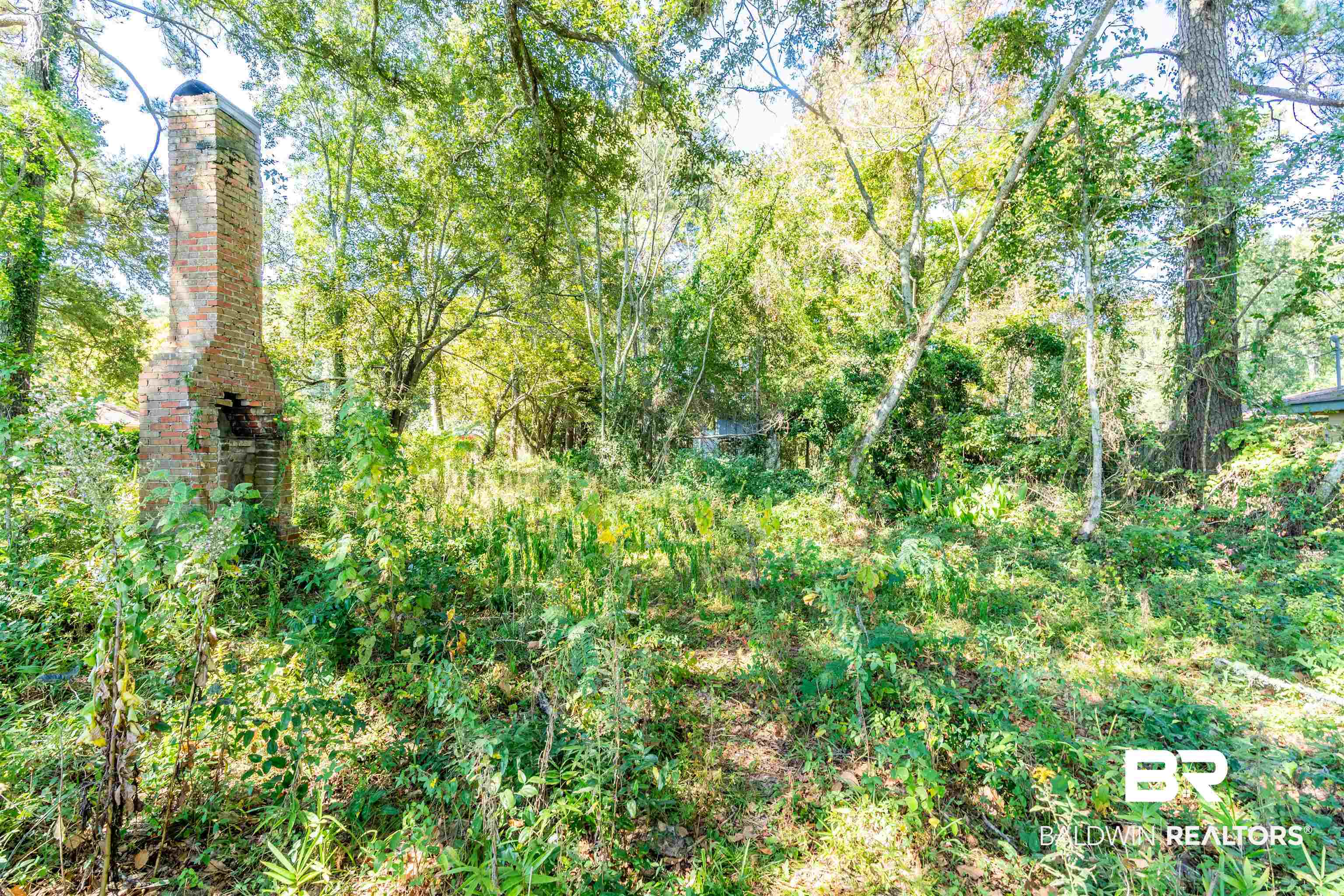 3973 Bayfront Road Mobile, AL 36605 - Photo 6 of 8 View of nature