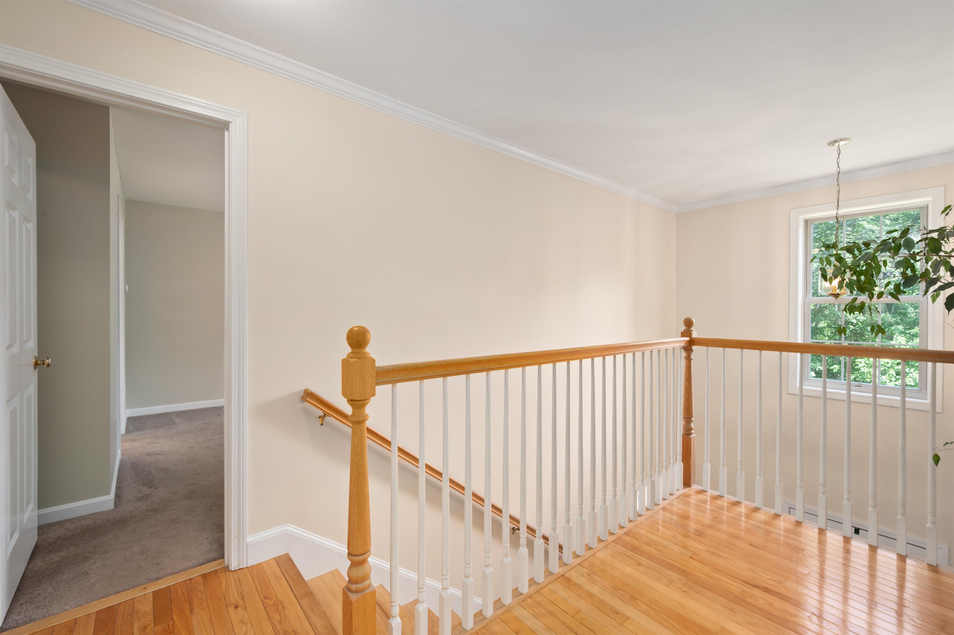 202 Cherry Valley Road Alton, NH 03810 - Photo 17 of 40 Gallery Image 17