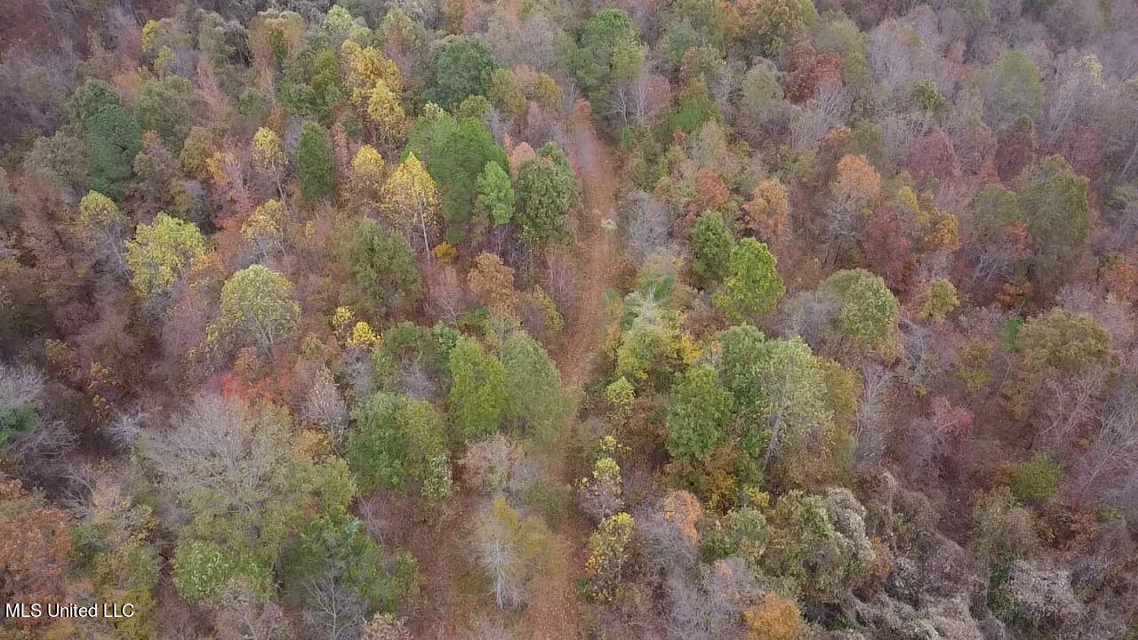 409 Peters Hill Road Enid, MS 38927 - Photo 4 of 13 2023-11-09-15-01-30-919