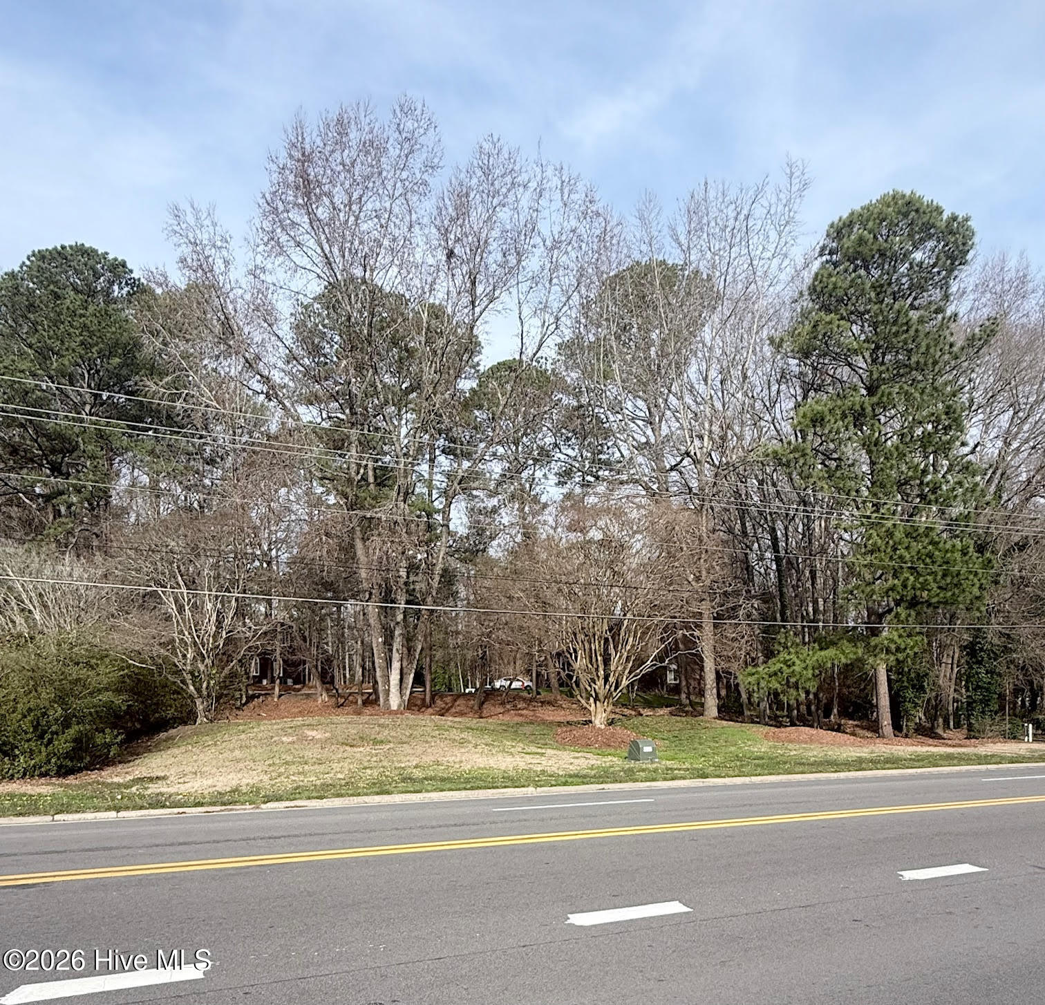 0 Forest Hills Road Northwest Wilson, NC 27896 - Photo 3 of 4 3