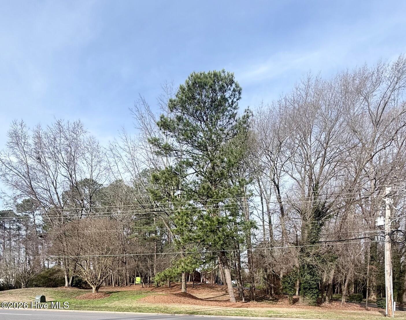 0 Forest Hills Road Northwest Wilson, NC 27896 - Photo 4 of 4 1