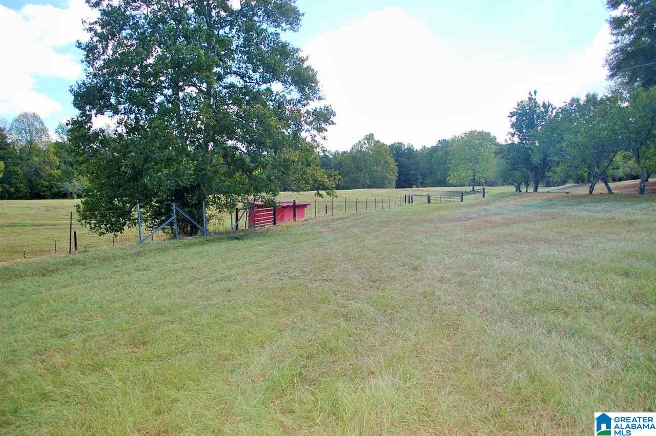 905 Sitton Road Hayden, AL 35079 - Photo 9 of 34