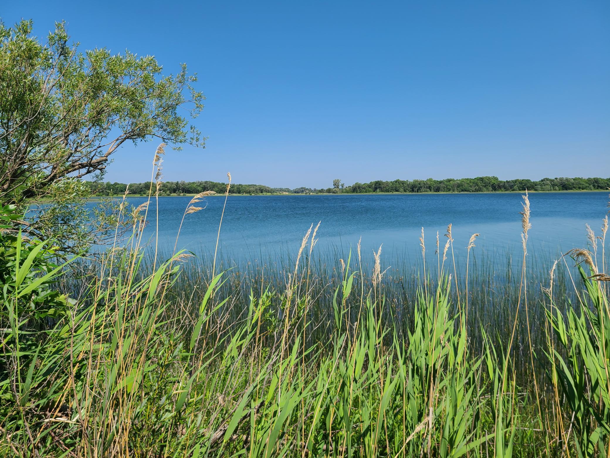26373 Anna Lake Road Underwood, MN 56586 - Photo 10 of 39
