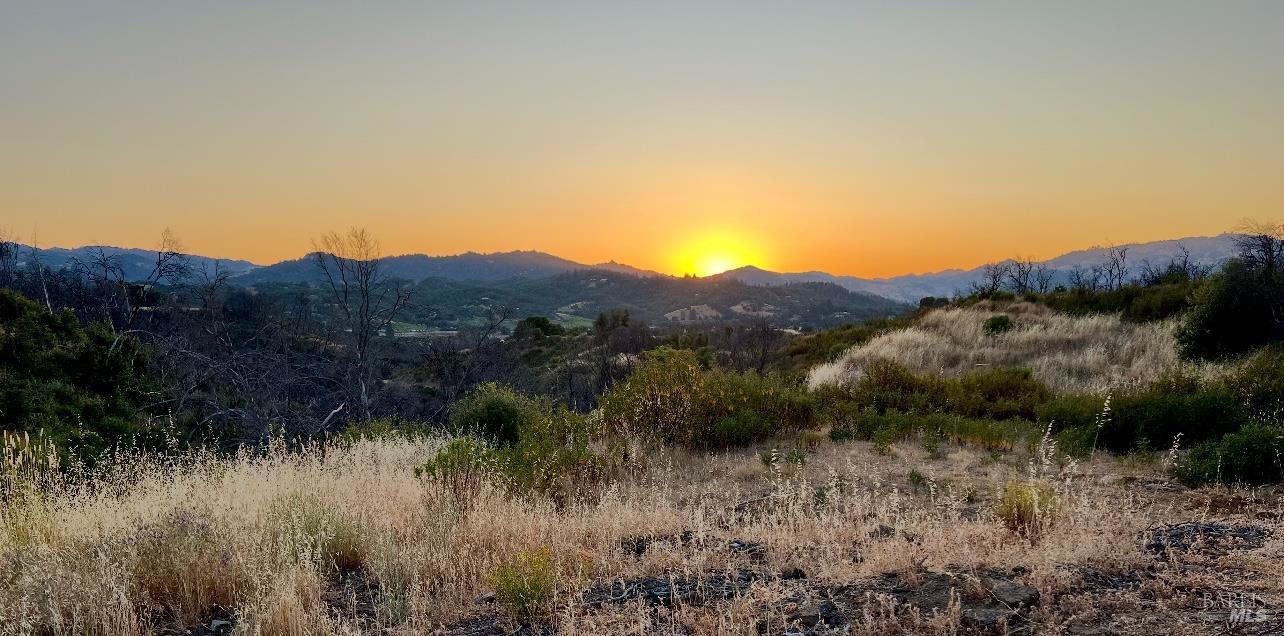 a view of a lush green field
