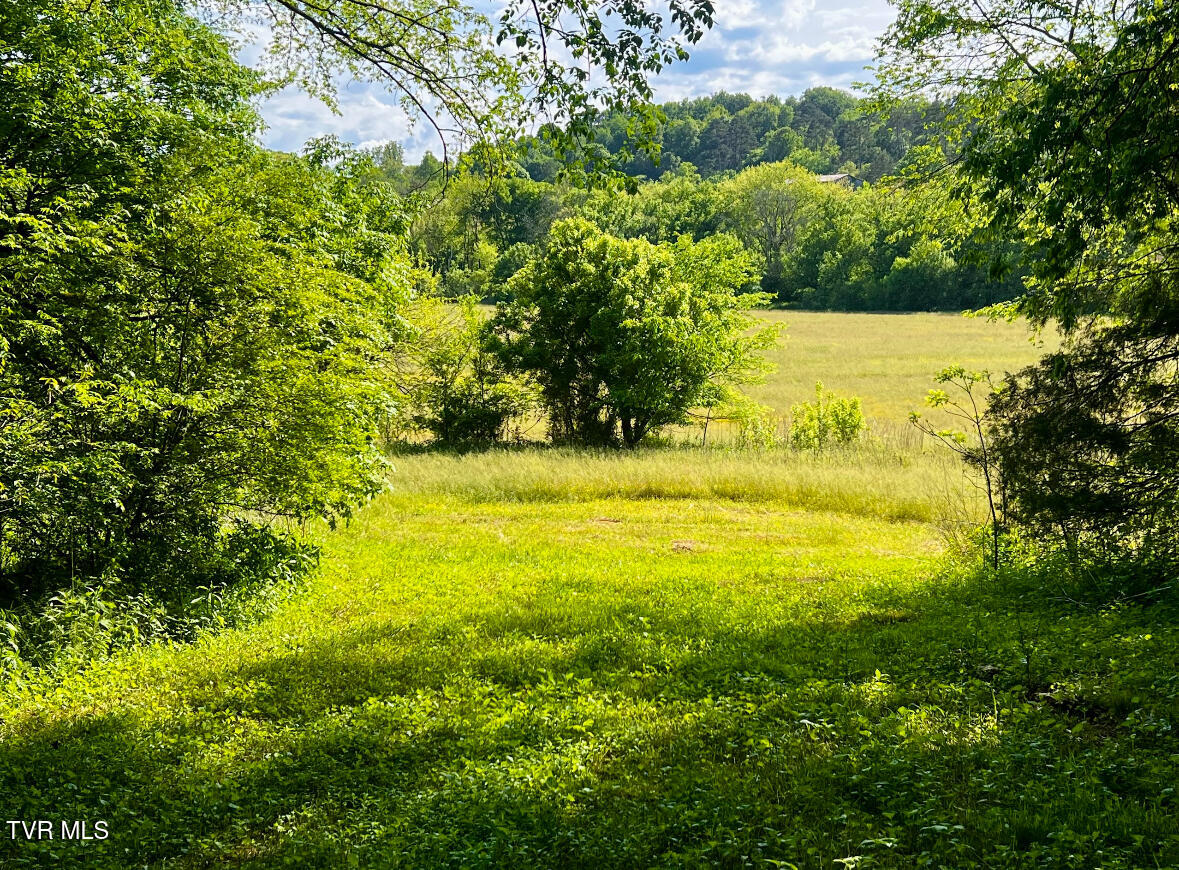 4045 South Mohawk Road Midway, TN 37809 - Photo 15 of 44 IMG_3746