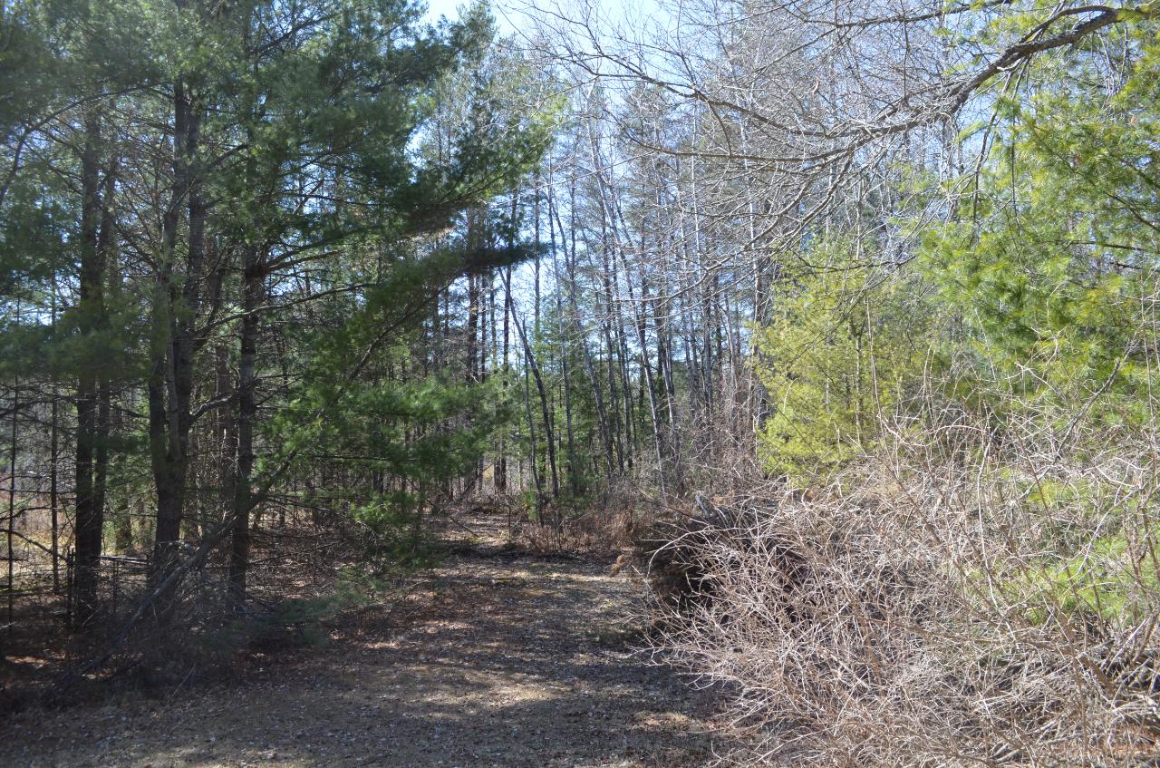 On Clear Lake Road Tomahawk, WI 54487 - Photo 14 of 20 Gallery Image 14