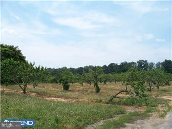 1 Sherwin Road Mullica Hill, NJ 08062 - Photo 2 of 4 View 2