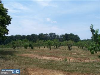 1 Sherwin Road Mullica Hill, NJ 08062 - Photo 4 of 4 View 2